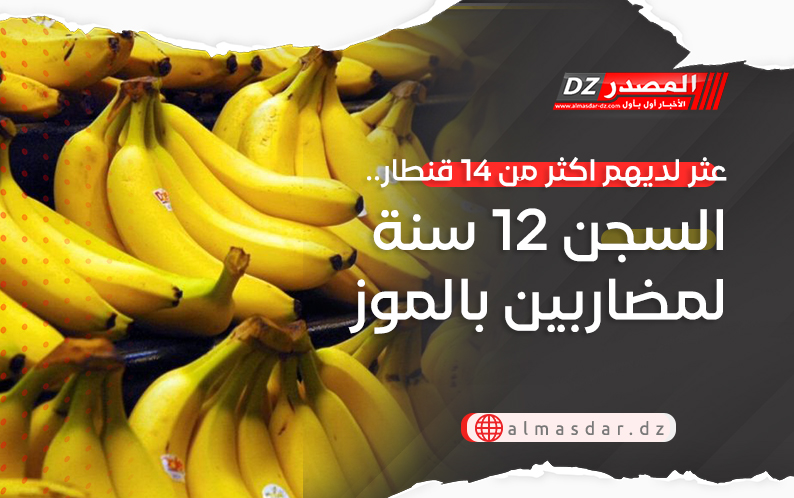 عثر لديهم اكثر من 14 قنطار.. السجن 12 سنة لمضاربين بالموز