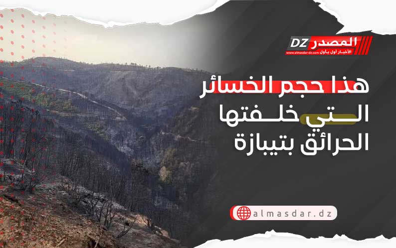 هذا حجم الخسائر التي خلفتها الحرائق بتيبازة