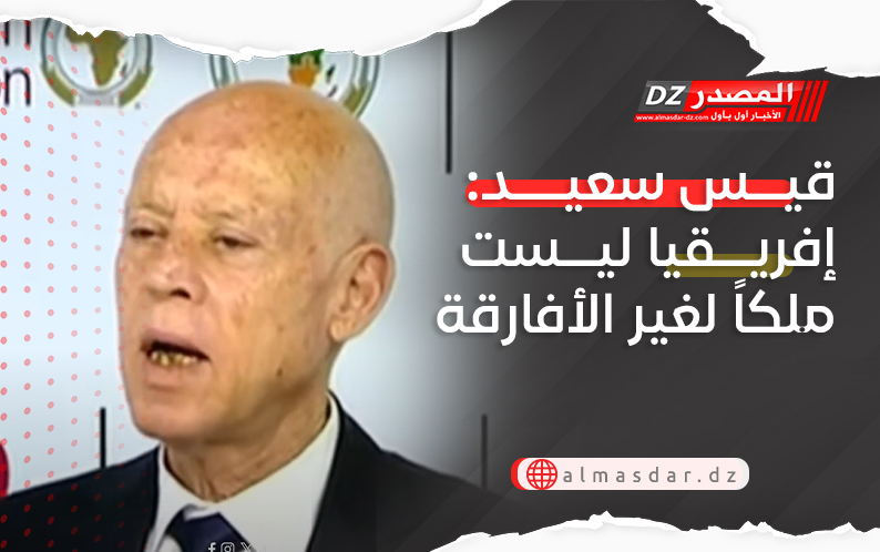 قيس سعيد: إفريقيا ليست ملكاً لغير الأفارقة