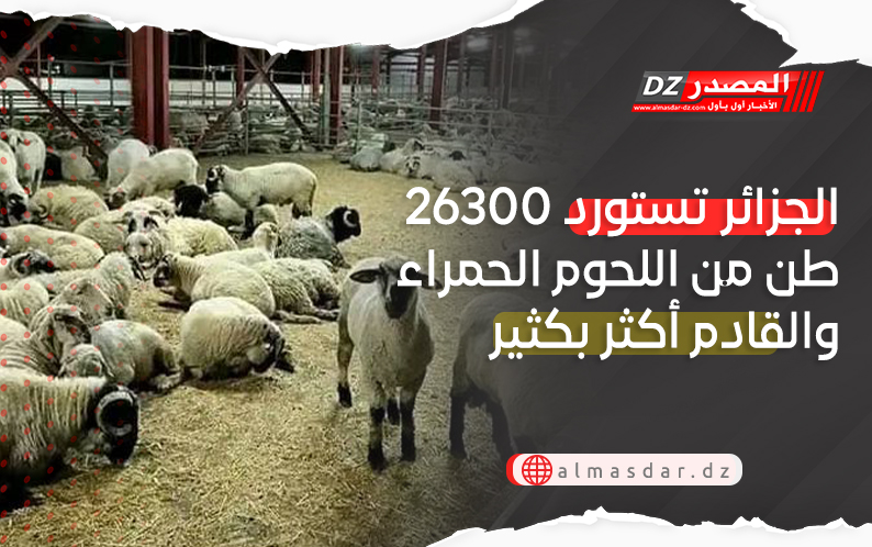 الجزائر تستورد 26300 طن من اللحوم الحمراء والقادم أكثر بكثير
