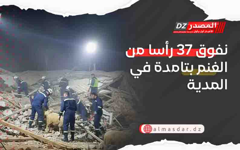 نفوق 37 رأسا من الغنم بتامدة في المدية