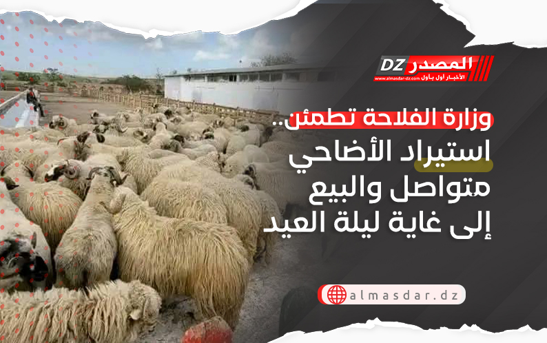 وزارة الفلاحة تطمئن.. استيراد الأضاحي متواصل والبيع إلى غاية ليلة العيد