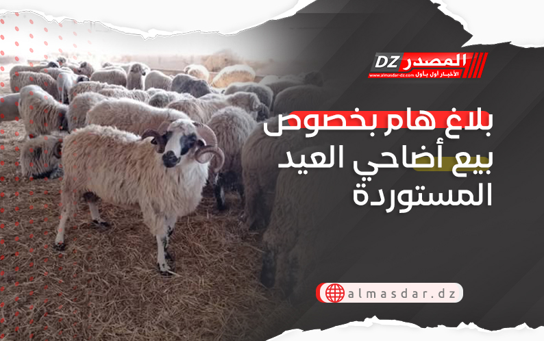 بلاغ هام بخصوص بيع أضاحي العيد المستوردة