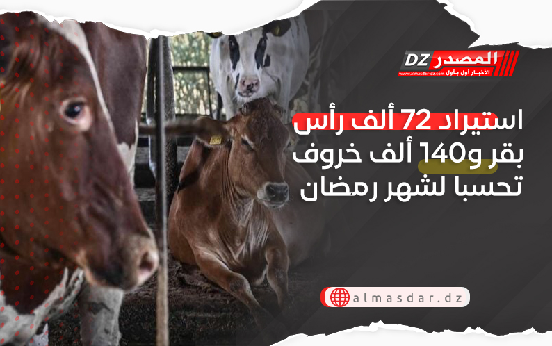 استيراد 72 ألف رأس بقر و140 ألف خروف تحسبا لشهر رمضان