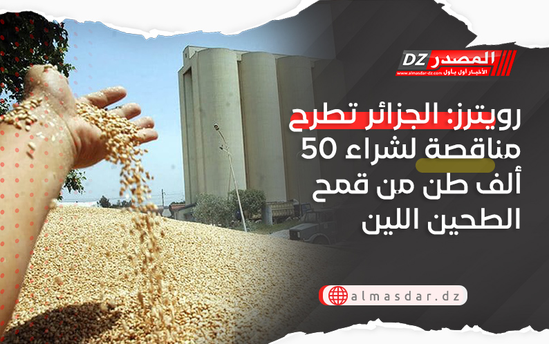 رويترز: الجزائر تطرح مناقصة لشراء 50 ألف طن من قمح الطحين اللين