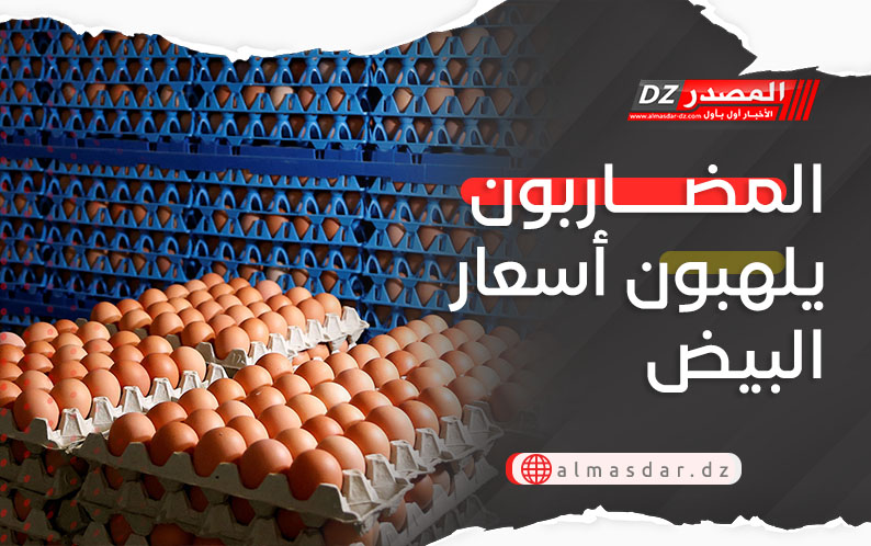 المضاربون يلهبون أسعار البيض