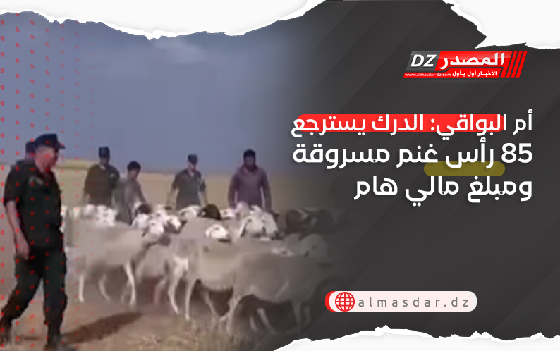 أم البواقي: الدرك يسترجع 85 رأس غنم مسروقة ومبلغ مالي هام
