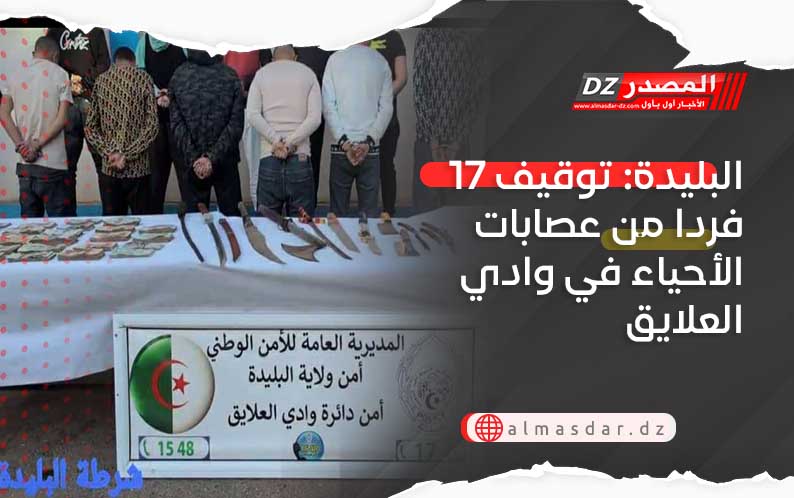 البليدة: توقيف 17 فردا من عصابات الأحياء في وادي العلايق