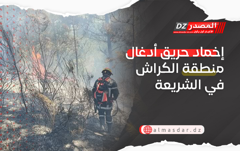 إخماد حريق أدغال منطقة الكراش في الشريعة