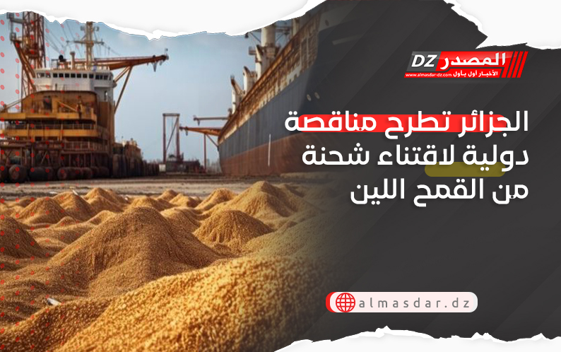 الجزائر تطرح مناقصة دولية لاقتناء شحنة من القمح اللين