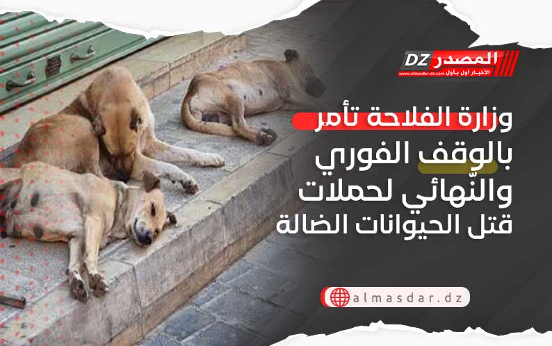 وزارة الفلاحة تأمر بالوقف الفوري والنّهائي لحملات قتل الحيوانات الضالة