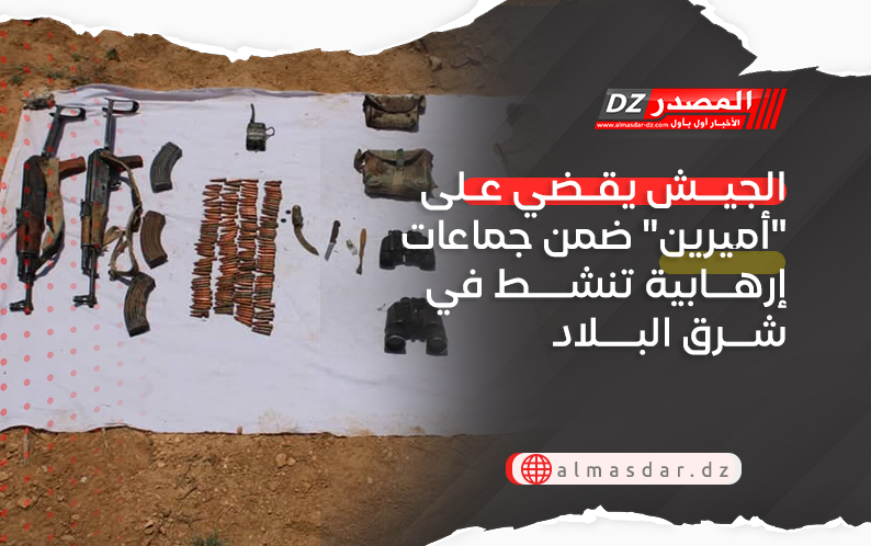 الجيش يقضي على 