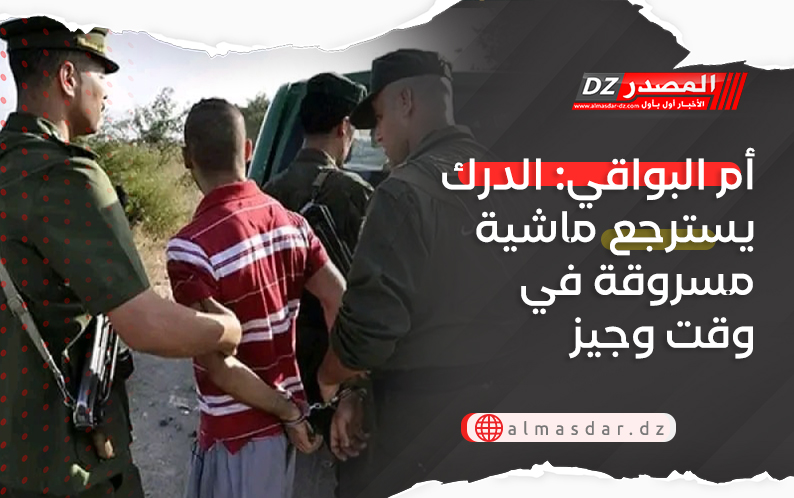 أم البواقي: الدرك يسترجع ماشية مسروقة في وقت وجيز
